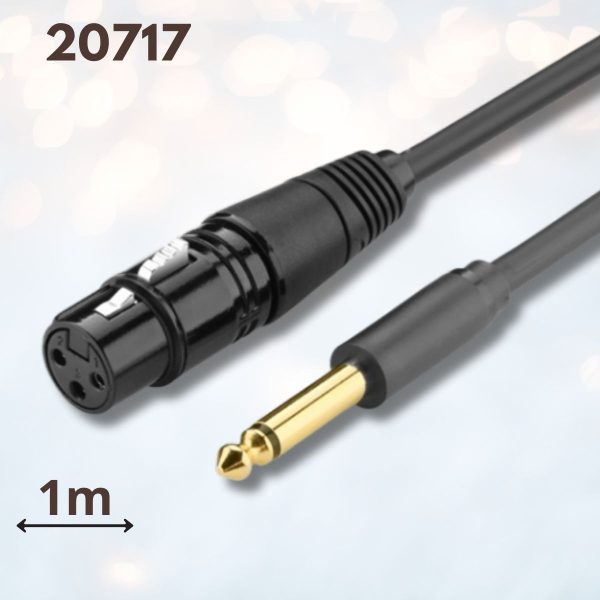 Cáp âm thanh 6.5mm sang Canon âm Ugreen 20717 1m màu đen, Lõi đồng, Đầu nối mạ vàng