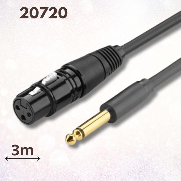 Cáp âm thanh 6.5mm sang Canon âm Ugreen 20720 3m màu đen chính hãng, Giảm tiếng ồn